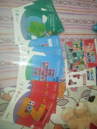 Lengua Castellana, 2 Primaria, Mochila ligera, ...