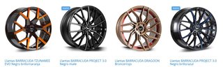 Llantas Barracuda