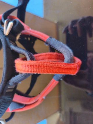 Arnés escalada Black Diamond Solution W talla S