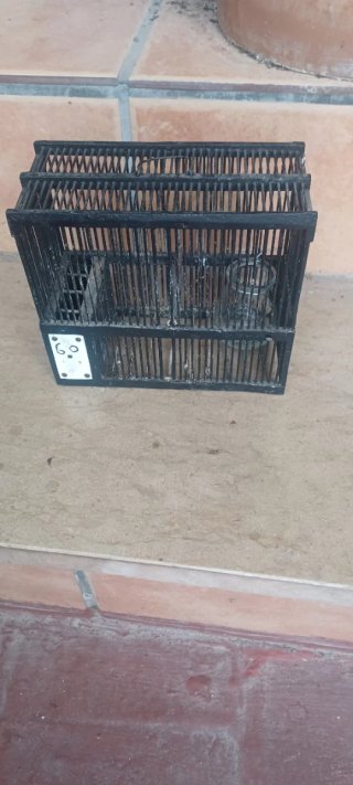 Jaula antigua para pájaros