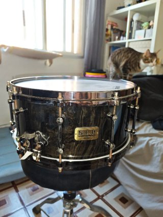 Caja Tama S.L.P. Maple 14x6.5. DIE CAST