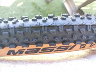 Neumático Massi Vortex 29x2.25