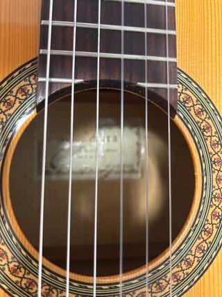 Guitarra Alhambra Electrificad