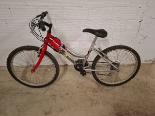Bicicleta Globe Trotter Roja y Plateada