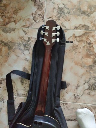 Guitarra Española Eléctrica con Funda