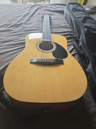 Guitarra acústica Rochester