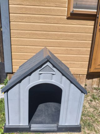 Caseta nueva para PERRO talla M. Caja original