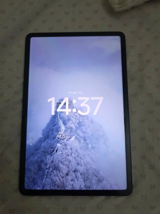 Poco Pad M1 256GB 8GB RAM Negro *leer descripcion*