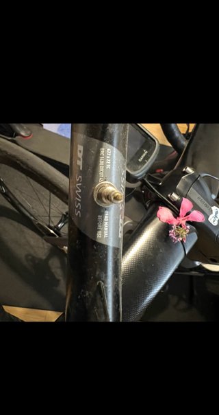 DT Swiss ERC 1400 Ruedas