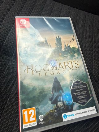 Hogwarts Legacy Nintendo Switch