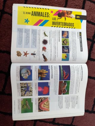Biología Y Geología 1 Secundaria