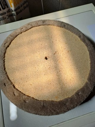 Lettino per gatti beige/marrone