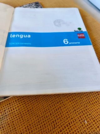 Lote Lengua 3 trimestres buen estado
