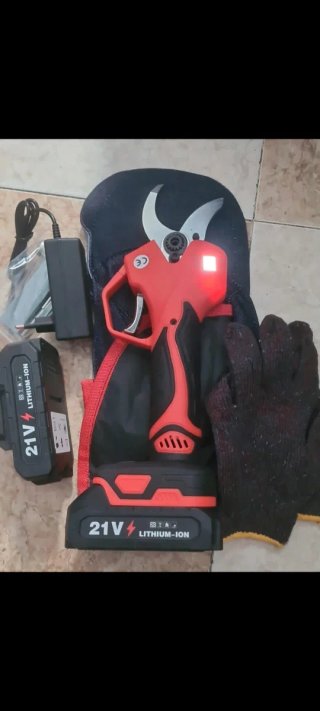 Podadora Eléctrica 21V con Batería y Cargador
