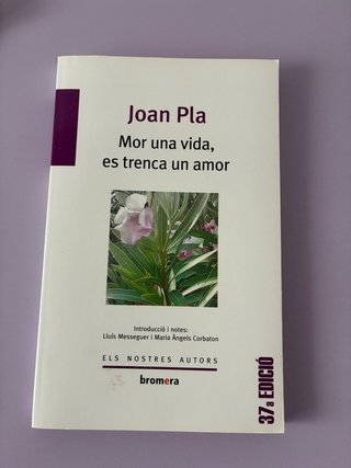 Mor una vida, es trenca un amor de Joan Pla