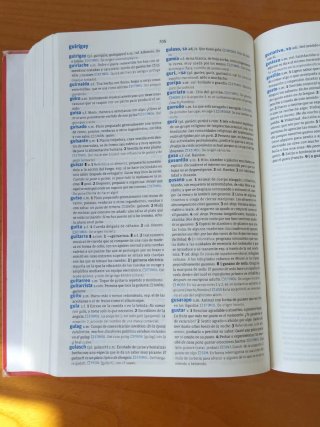 Diccionario Secundaria y Bachillerato lengua es...