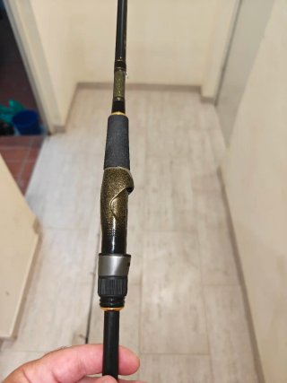 Caña de pescar Daiwa Crosscast Allgame II 2,44