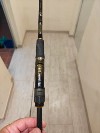 Caña de pescar Daiwa Crosscast Allgame II 2,44
