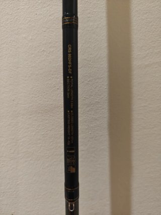 Caña de pescar Daiwa Crosscast Allgame II 2,44