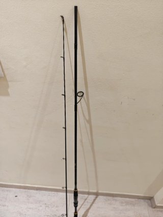 Caña de pescar Daiwa Crosscast Allgame II 2,44