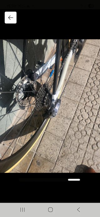 Bicicleta Carretera Wilier Filante 2024
