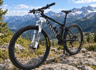 Bicicleta Canyon Lux Carbono 29