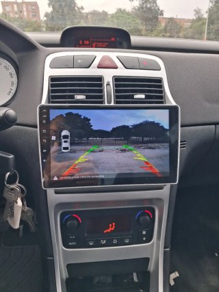 Peugeot 307 2007