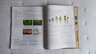 Biologia y geologia, 1o Secundaria