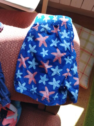 Bañadores niño estrellas de mar