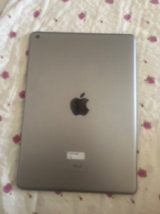 Apple iPad Plata
