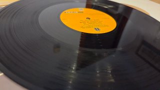 Vinilo Jaguar DJ Rolando
