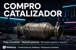 Catalizador usado