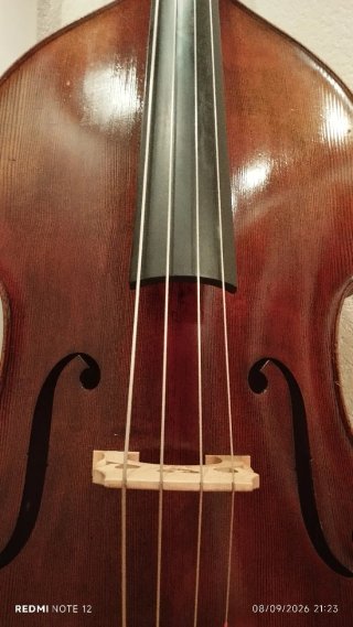 Contrabajo Stoll Valencia Clàssic