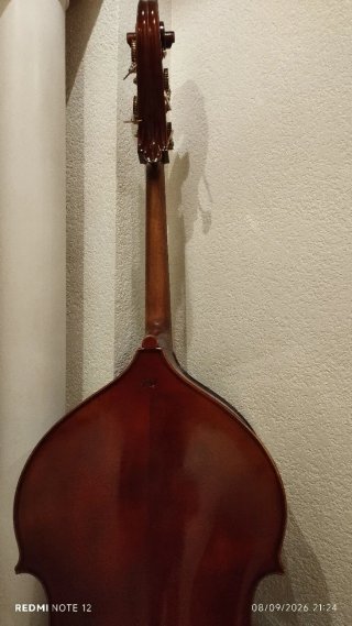 Contrabajo Stoll Valencia Clàssic