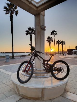 Santa Cruz V10