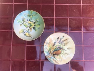 Pareja platos decorativos porcelana inglesa.