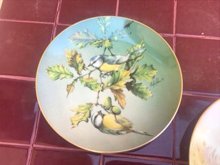 Pareja platos decorativos porcelana inglesa.