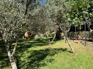 Venta de casa rústica en Colmenar (Málaga)