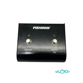Fishman Loudbox Performer Amplificador Guitarra