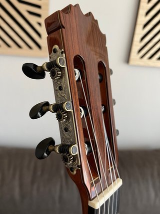 Guitarra Antonio de Toledo ATF-17N Santos