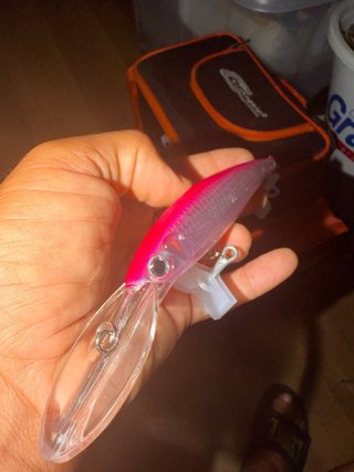 Rapala Magnum Bacoretas Atunes