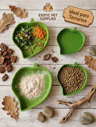 Lote de 4 comederos o bebederos para terrarios
