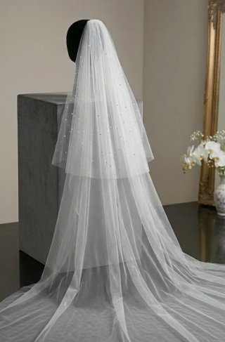 Velo de novia con pedrería
