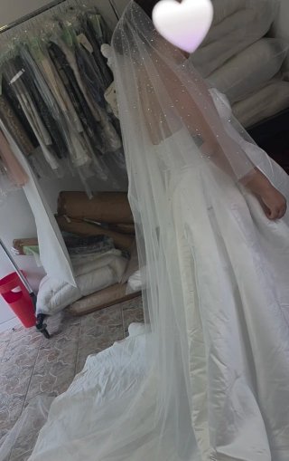 Velo de novia con pedrería