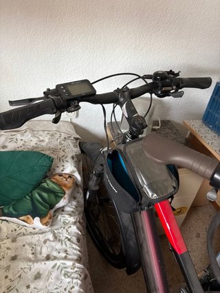 Bicicleta Eléctrica Urbana