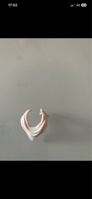 Lol Surprise bambola con accessori