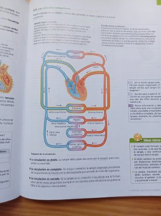 Biología y geología, 3 ESO: V. [1]. Las persona...