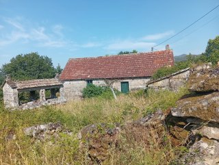 Casa Calvos