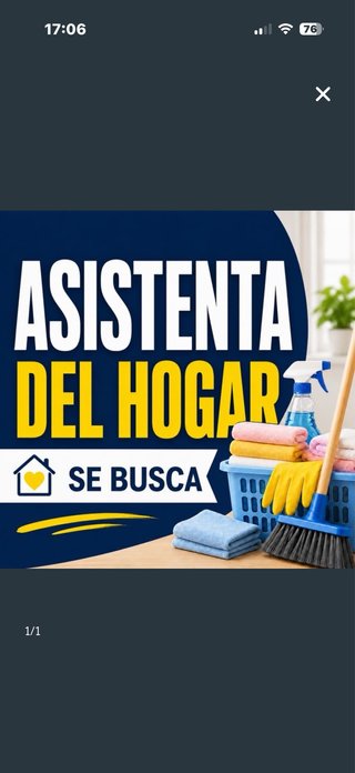 Servicio de limpieza