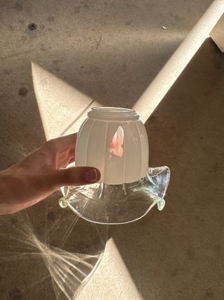 Tulipas de cristal para lámpara